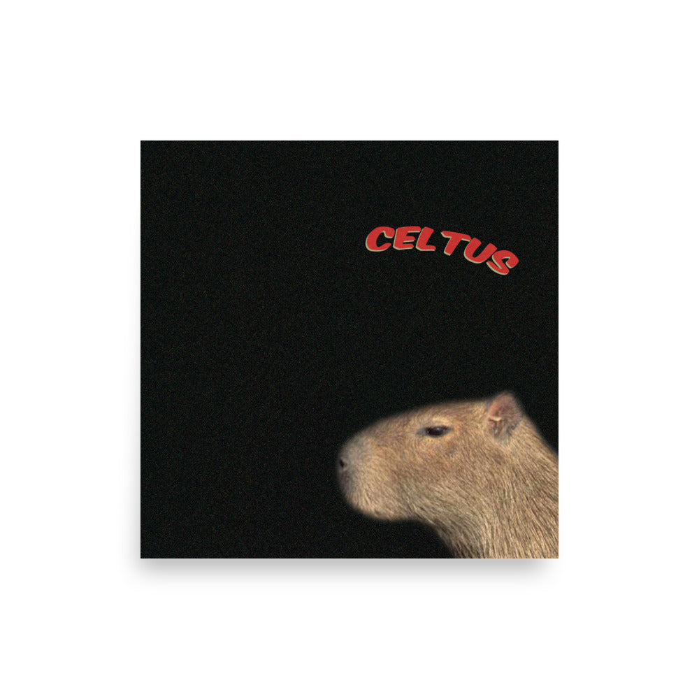 Cletus Self-Titled Album Poster